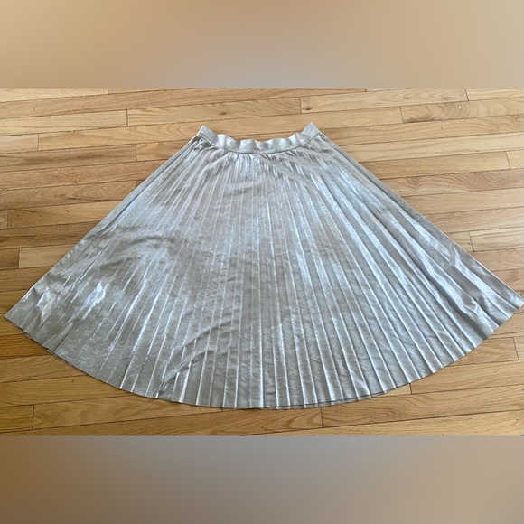 Zara Pleated Skirt - Picture 2 of 2